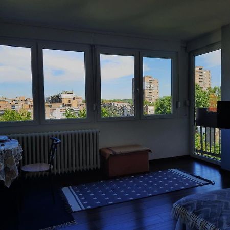Blue Moon Apartment Novi Sad Bagian luar foto