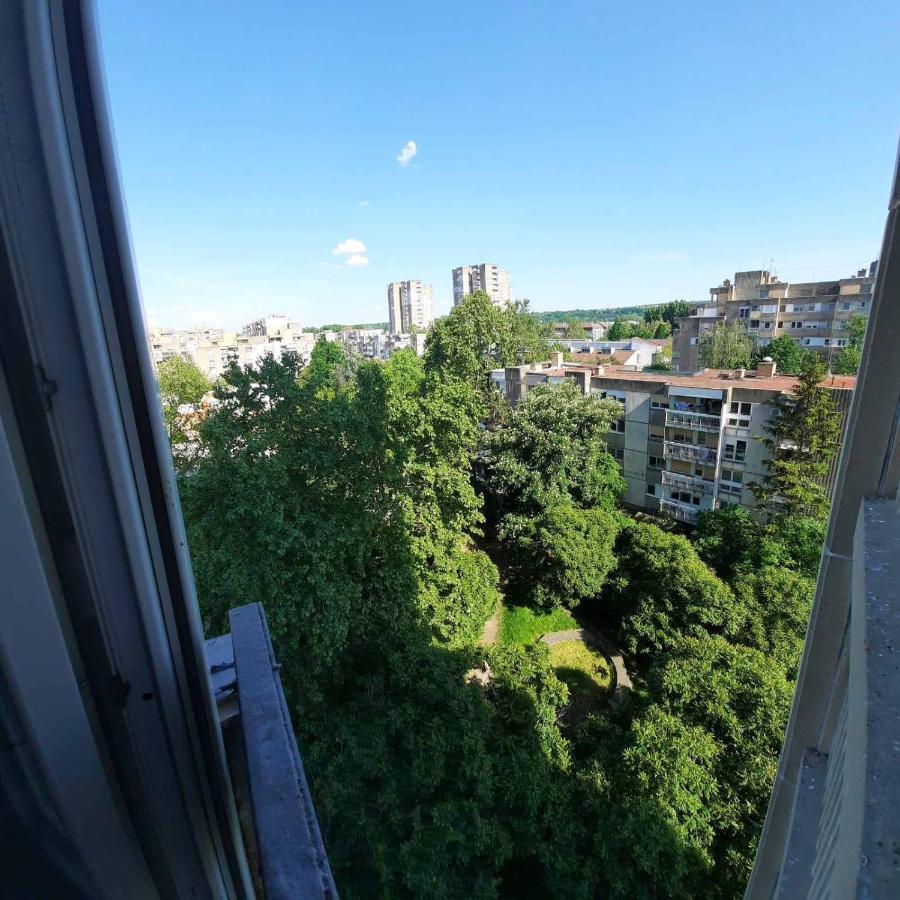 Blue Moon Apartment Novi Sad Bagian luar foto