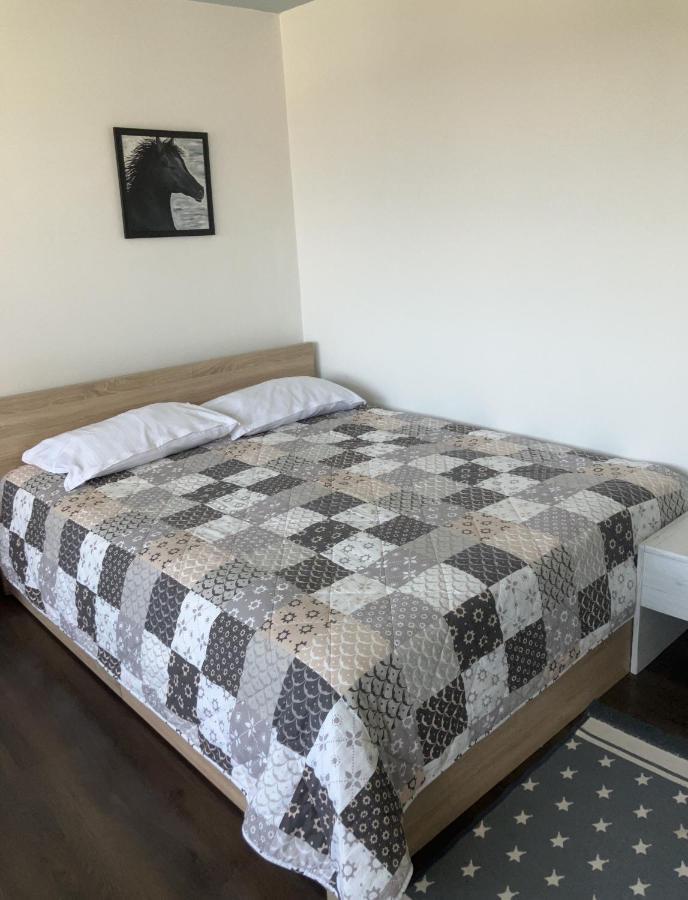 Blue Moon Apartment Novi Sad Bagian luar foto